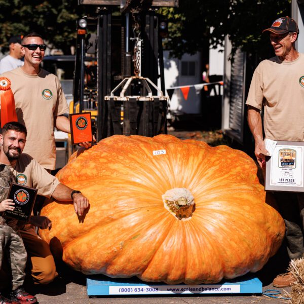 2342.5 Andrusz(2554x1975.5 Fleser)