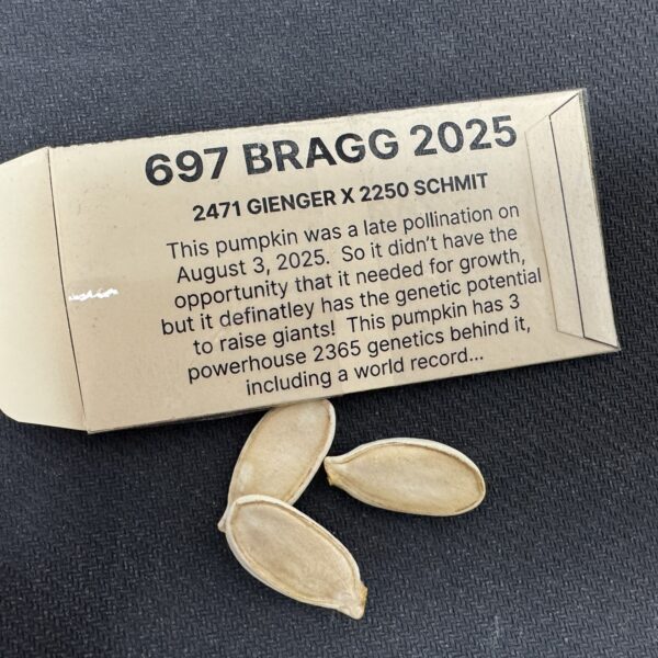 697 Bragg 2025 (3 Seeds)