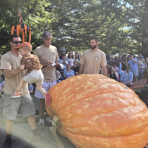 2114.5 Andrusz(25)(2342.5 Andrusz x 1975.5 Fleser)