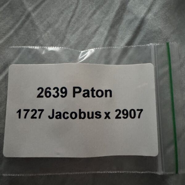 2639 Paton (1727 Jacobus x 2907 Paton)