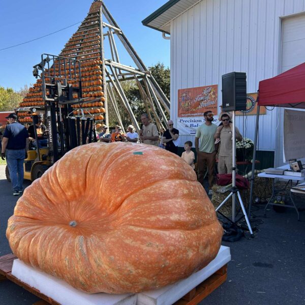 2477.5 Andrusz (2554 Andrusz x 1975.5 Fleser)