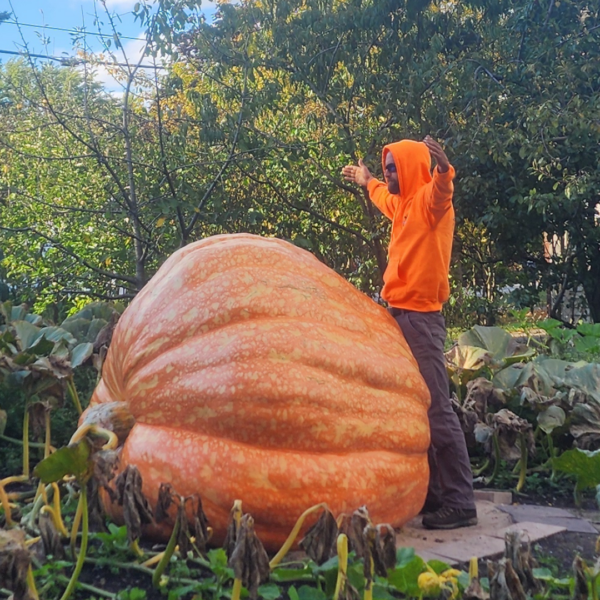 2518 Andrusz (1975.5 Fleser x 2554 Andrusz)