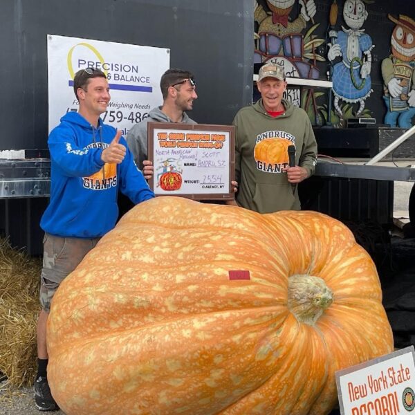 2554 Andrusz(2365 Wolf x 1885 Werner)